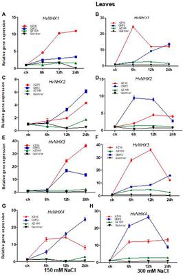 NHX-Type Na+/H+ Antiporter Gene Expression Under Different Salt Levels and Allelic Diversity of HvNHX in Wild and Cultivated Barleys